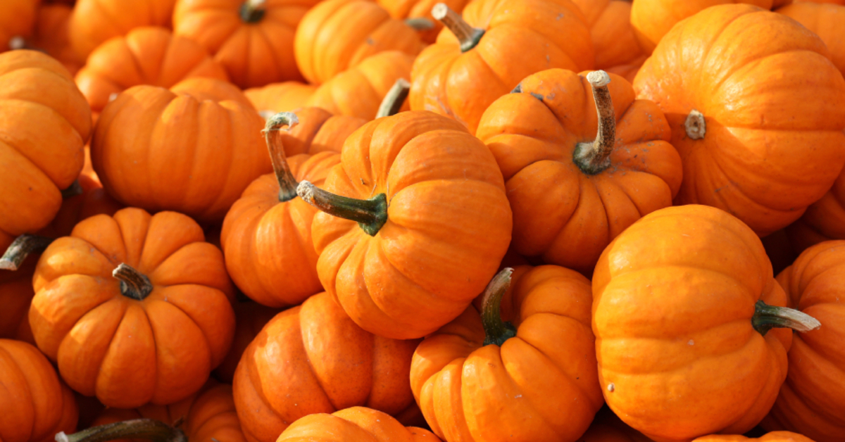 Kış sebzelerini tüketirken aşırıya kaçmayın! Cildi sarı ve turuncuya boyuyor