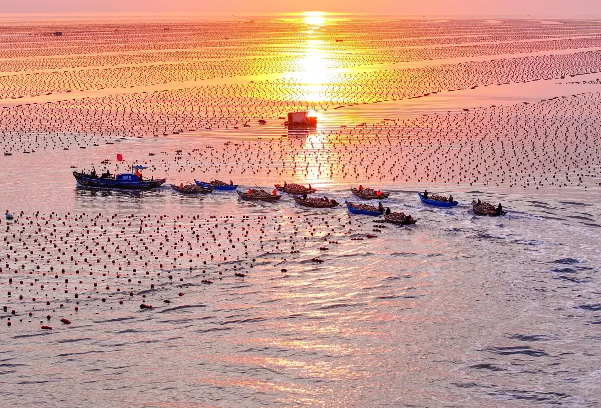Çin’den Modern Deniz Çiftlikleri