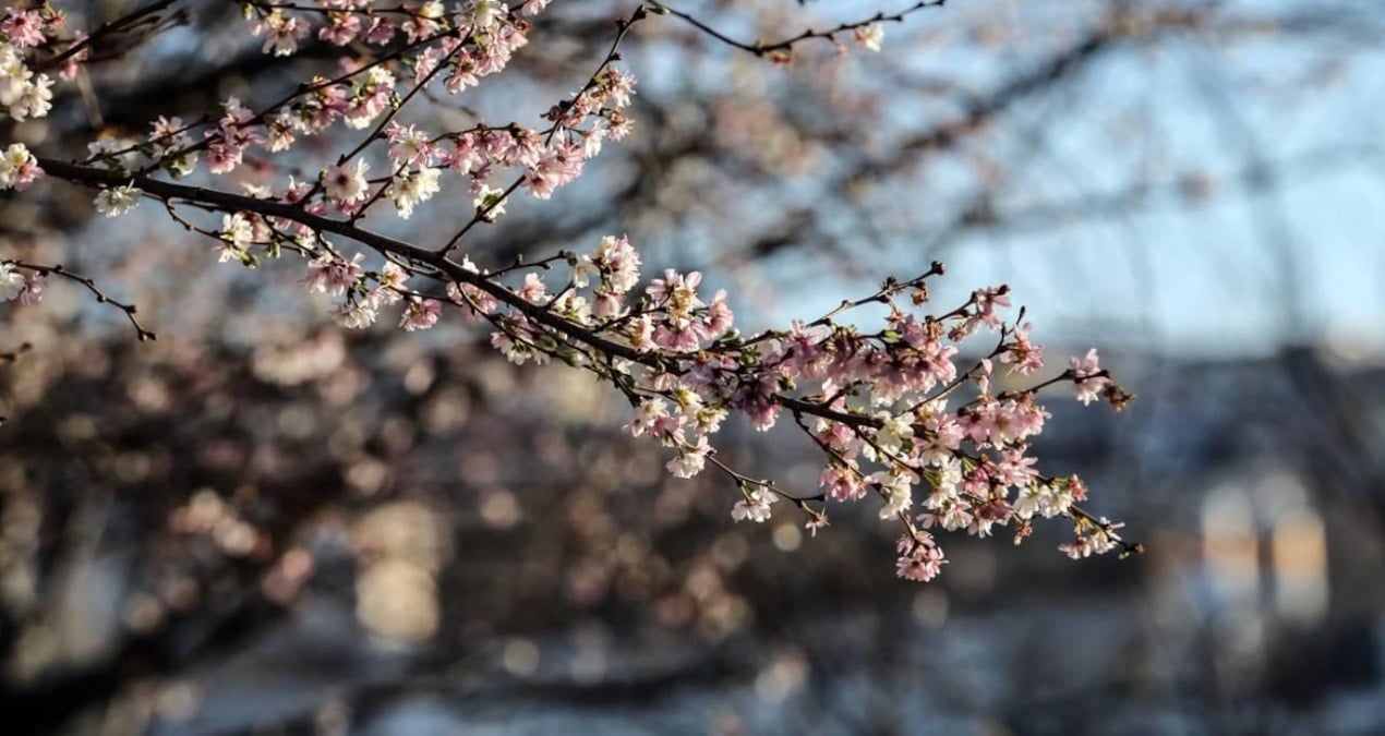 Ramazanın ilk iki haftası bahar havasında geçecek